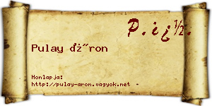 Pulay Áron névjegykártya